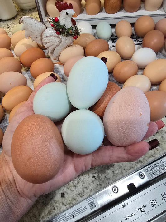 One Dozen Farm Fresh Chicken Eggs